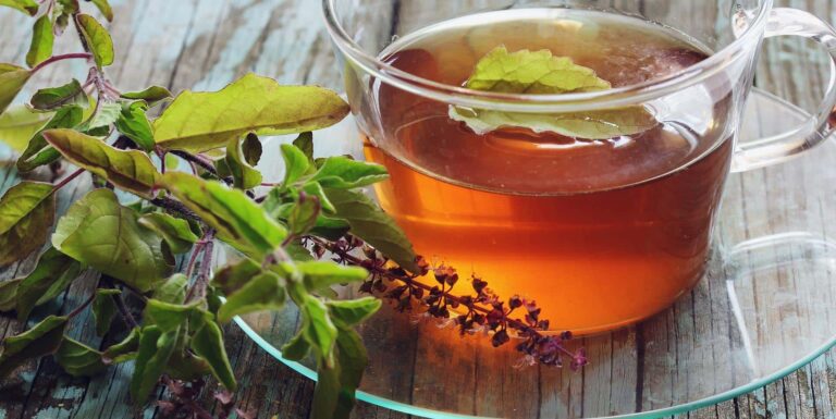 Le tulsi est aussi surnommé le « basilic sacré »