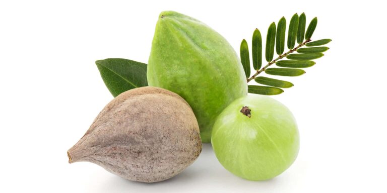 Le Triphala possède de nombreuses vertus