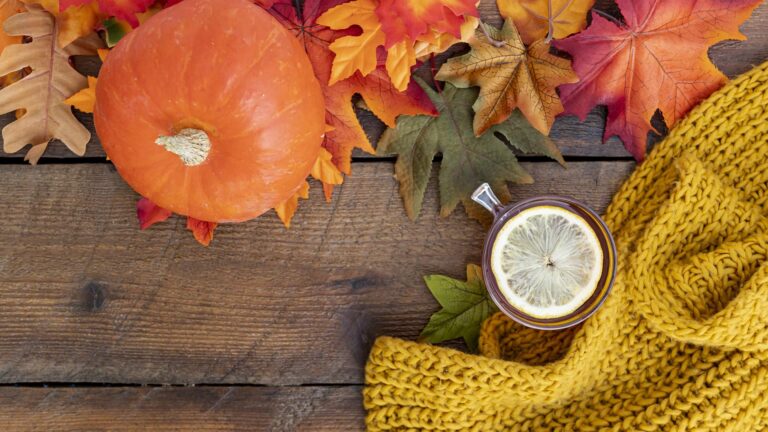 Découvrez tout ce qu’il faut savoir sur la détox automne