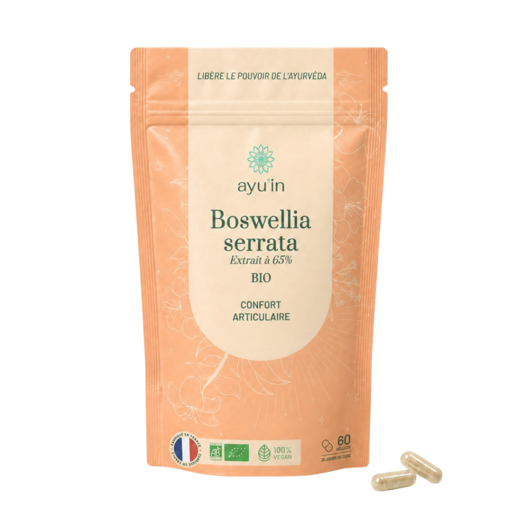 Boswellia Bio – 120 Gélules